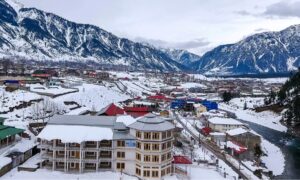 Abasin Linguistic Services