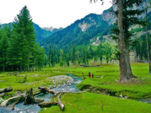 Abasin Linguistic Services